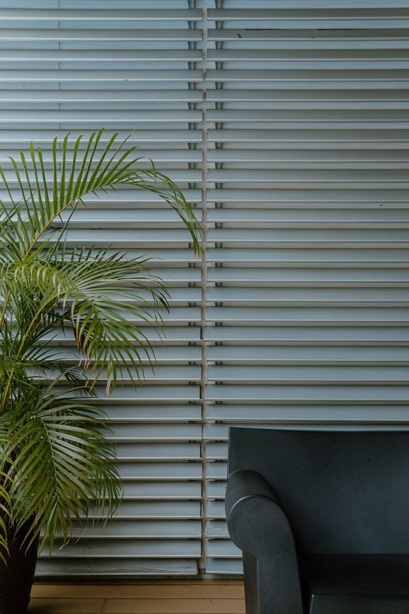 Stylish modern interior featuring a lush palm plant beside sleek blinds and a comfortable chair.